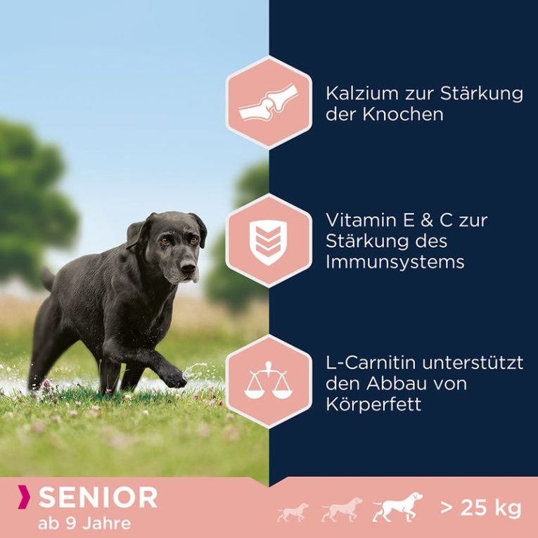 Eukanuba Caring Senior Large Breed Chicken1