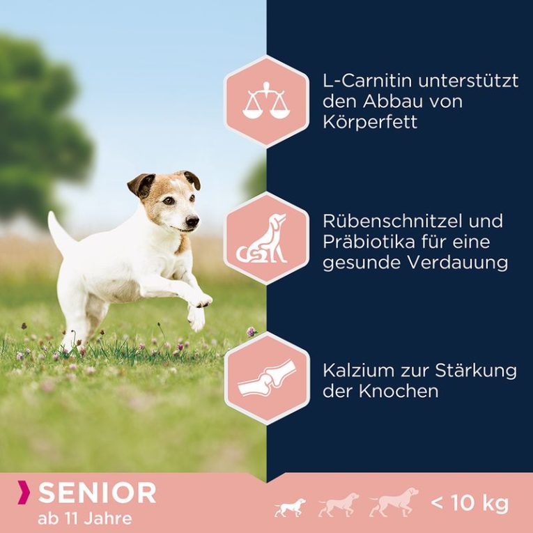 Eukanuba Caring Senior Small Breed Chicken2