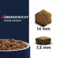 Eukanuba Daily Care Overweight Adult Dog4