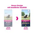 Eukanuba Junior Large Breed Chicken1