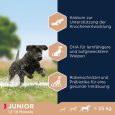 Eukanuba Junior Large Breed Chicken2