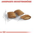 Royal Canin Ageing 12+3