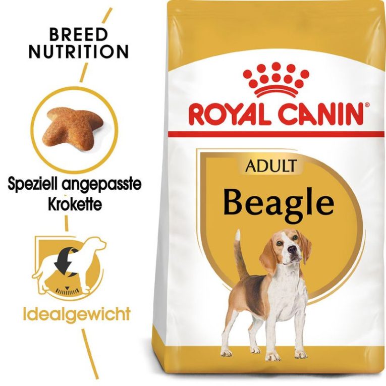 Royal Canin Beagle Adult1