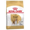 Royal Canin Beagle Adult2