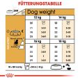 Royal Canin Beagle Adult7