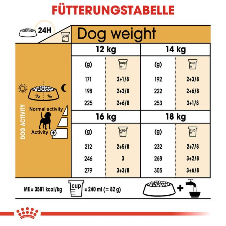 Royal Canin Beagle Adult7