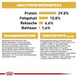 Royal Canin Bichon Frize Adult4