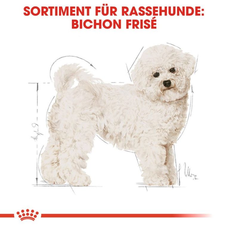 Royal Canin Bichon Frize Adult6