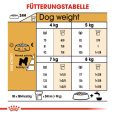 Royal Canin Bichon Frize Adult7