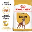 Royal Canin Boxer Adult1