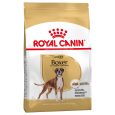 Royal Canin Boxer Adult2