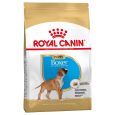 Royal Canin Boxer Puppy
