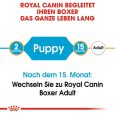 Royal Canin Boxer Puppy7