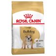 Royal Canin Bulldog Adult2
