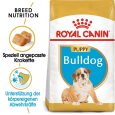 Royal Canin Bulldog Puppy1
