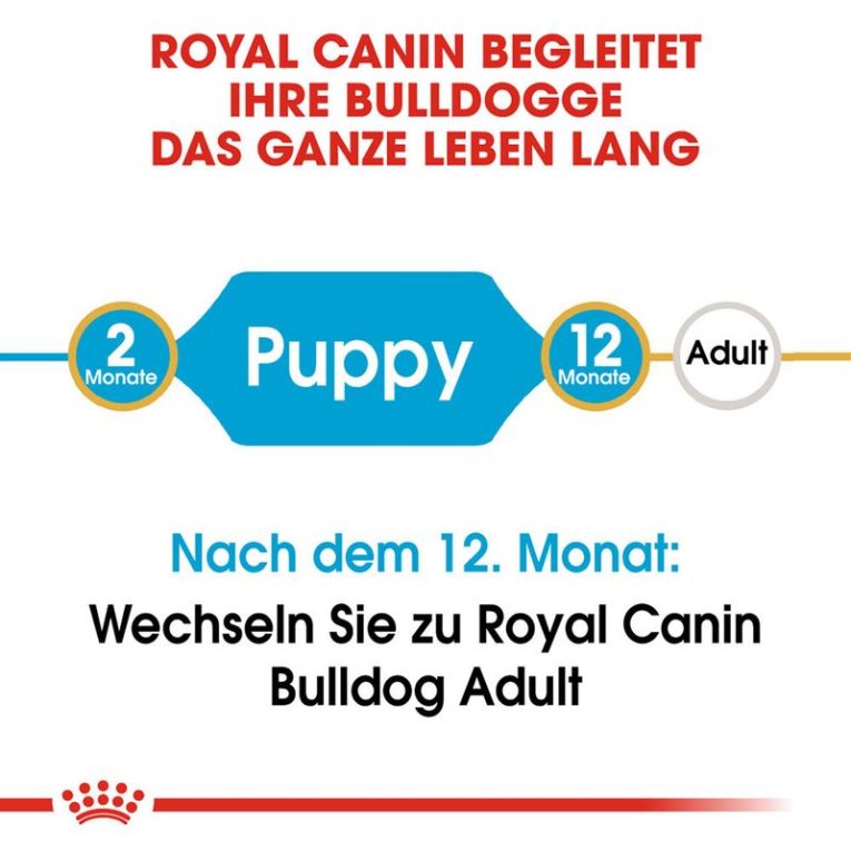 Royal Canin Bulldog Puppy4