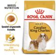 Royal Canin Cavalier King Charles Adult1