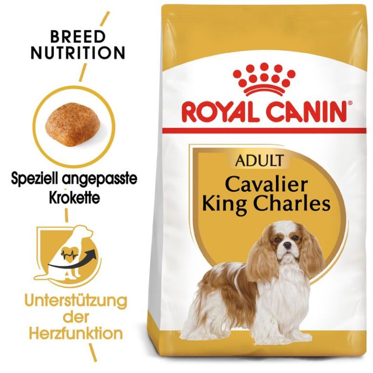 Royal Canin Cavalier King Charles Adult1