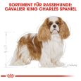 Royal Canin Cavalier King Charles Adult6