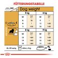 Royal Canin Cavalier King Charles Adult7