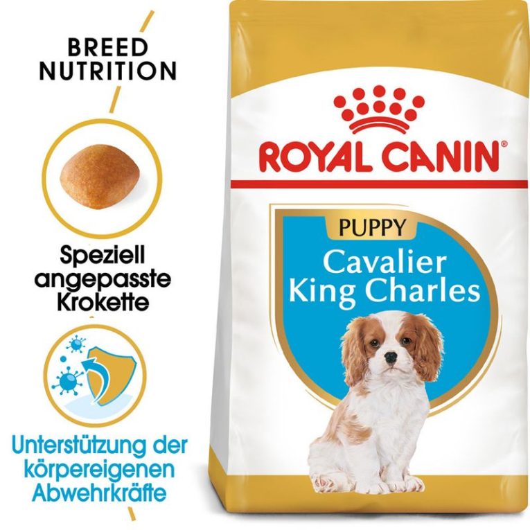 Royal Canin Cavalier King Charles Puppy1