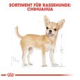 Royal Canin Chihuahua Adult6