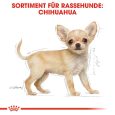 Royal Canin Chihuahua Puppy5