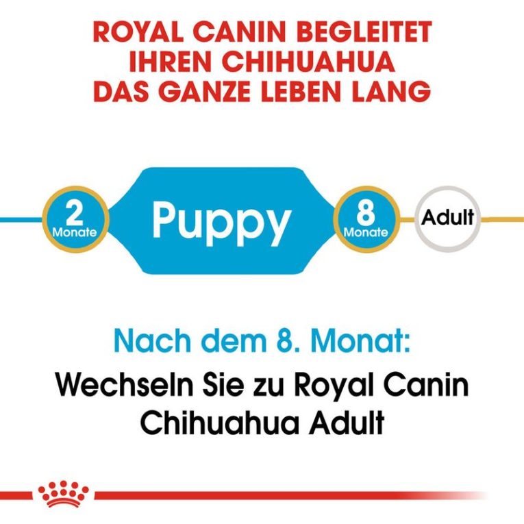Royal Canin Chihuahua Puppy7