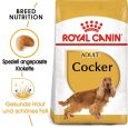 Royal Canin Cocker Adult1