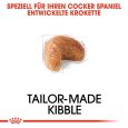 Royal Canin Cocker Adult3