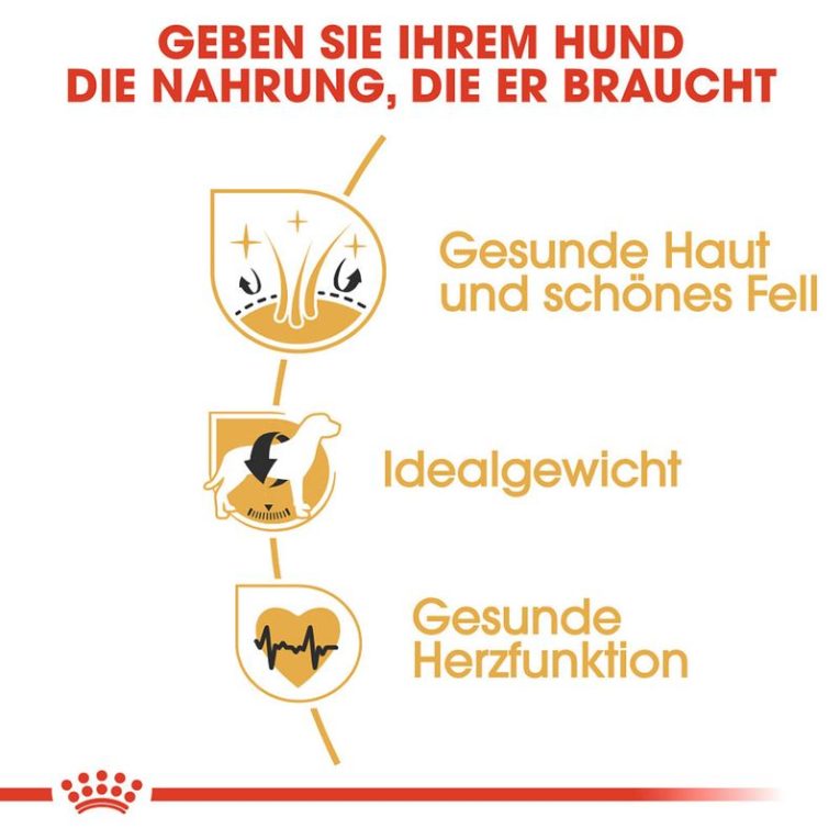 Royal Canin Cocker Adult5