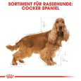 Royal Canin Cocker Adult6