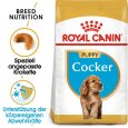 Royal Canin Cocker Puppy1