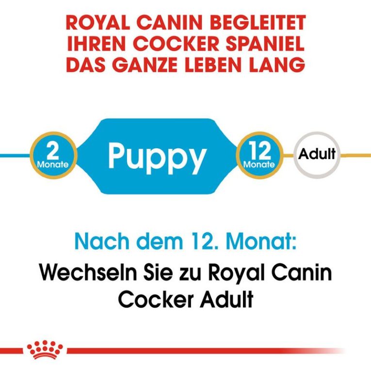 Royal Canin Cocker Puppy6