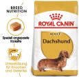 Royal Canin Dachshund Adult1