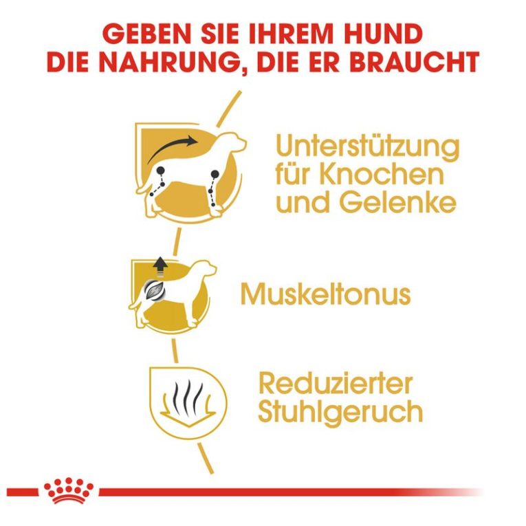 Royal Canin Dachshund Adult5