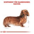 Royal Canin Dachshund Adult6