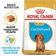 Royal Canin Dachshund Puppy1
