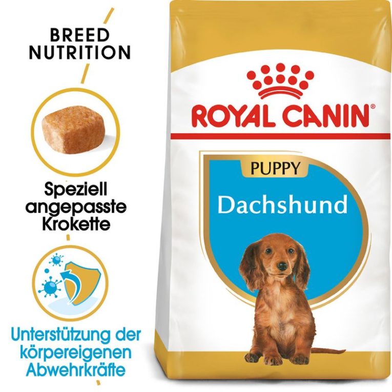 Royal Canin Dachshund Puppy1
