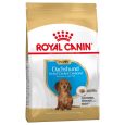 Royal Canin Dachshund Puppy2