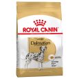 Royal Canin Dalmatian Adult2
