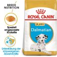 Royal Canin Dalmatian Puppy1