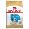 Royal Canin Dalmatian Puppy2