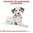 Royal Canin Dalmatian Puppy5