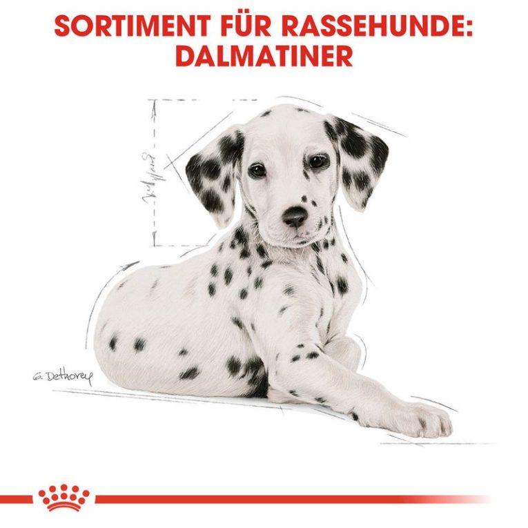 Royal Canin Dalmatian Puppy5