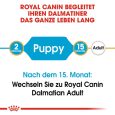 Royal Canin Dalmatian Puppy6