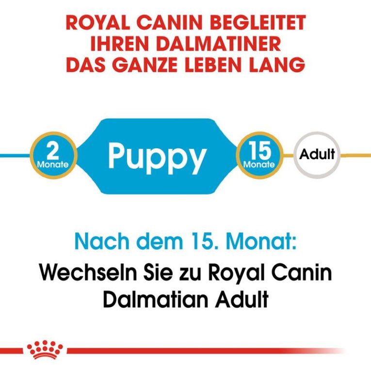 Royal Canin Dalmatian Puppy6