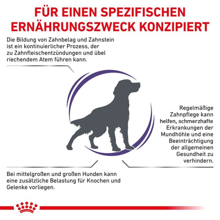 Royal Canin Expert Canine Dental Medium & Large Dog2