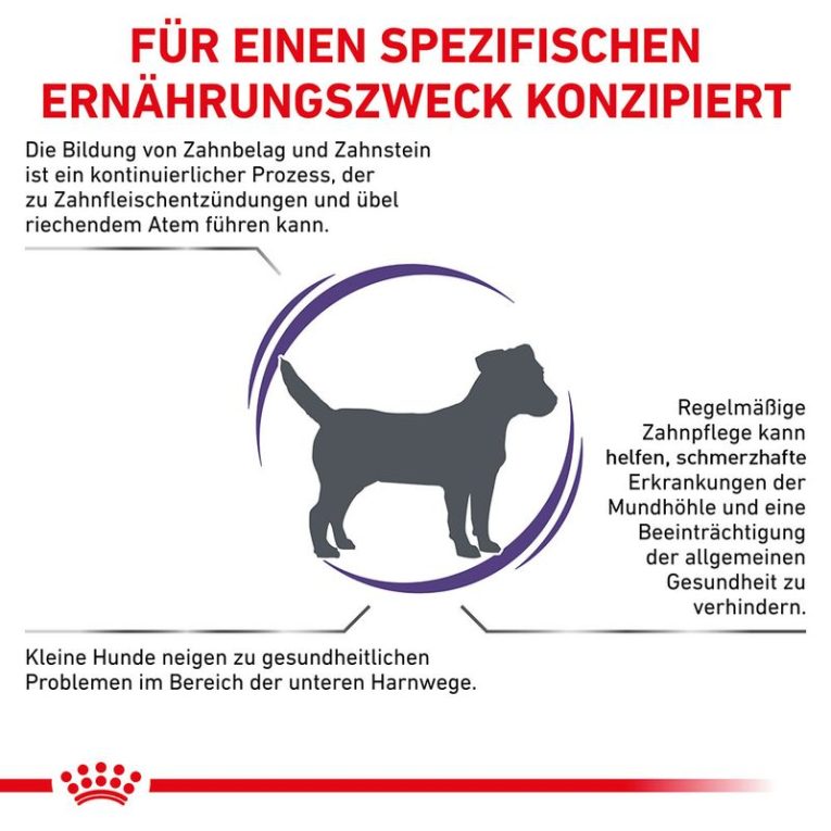 Royal Canin Expert Canine Dental Small Dog1