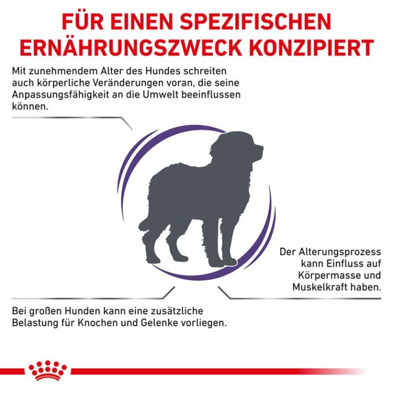Royal Canin Expert Canine Mature Consult Large Dog1